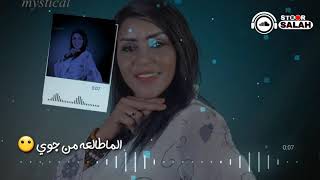 الامبراطوره هبه جبره - شيشاي-مكتب الشوايات-من جوي 👌