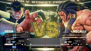 Dogura (Bison) vs Yu-sama (Necalli)：どぐら（ベガ）vs ゆーさま（ネカリ）