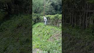 みんなの公園の草刈り作業‼️暑さ対策の空調服🥰これからの時期、これがないとやってられない😵　#草刈り　#空調服　#ボランティア活動