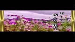 【歌】　鏡川叙情歌　【LaLaVoice】 高知 友子