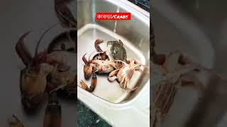 Crabs Alive/জীবন্ত কাঁকড়া Masala,Just Try.#short video viral