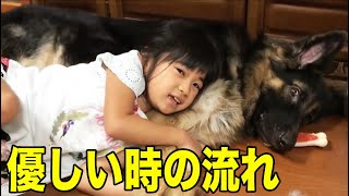 優しい時間の流れ・孫娘・梨々香とシェパードマック・秋田犬そうすけ【VLOG】