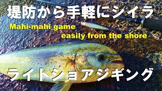 ライトショアジギングで手軽にシイラが釣れる和歌山のスーパー沖堤防