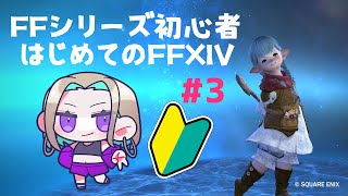 【FFXIV】今日もメインストーリーやってく