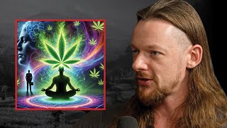 The DARK Truth Behind Legalizing Cannabis (What They Won’t Tell You) - Ryan Sprague