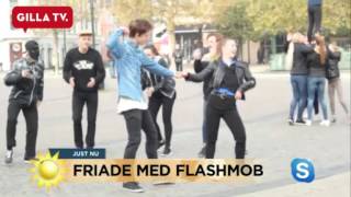 Youtube-profilen friar till flickvännen med flashmob