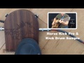 thepedalguy presents the ortega horse kick and horse kick pro stomp pedals