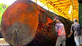 The Extraordinary Challenge of Sawing Old Giant and Hardest Mahogany Wood #1