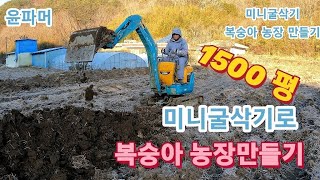 미니굴삭기로 복숭아농장만들기