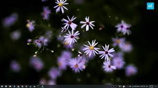 How to convert an email to PDF on Windows 10