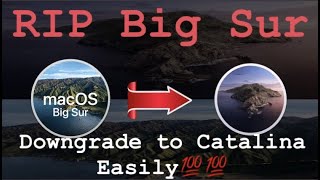 Downgrade form macOS Big Sur to Catalina or Mojave without usb | All problems Solved of Big Sur |🔥🔥🔥