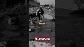 AQILLI INSONLAR KO'PAYAVERSIN 🤣 #shortsfeed #funny #shortsvideo #prank #comedy #prikol #trend #rek