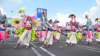 「花びより～あかさたな～」ござれGO-SHU! 2019【アヤハプラザ】