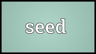 Seed Meaning