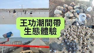 2023彰化景點 | 王功漁港採蚵、挖蛤蜊、看螃蟹、烤蚵吃到飽 | 芳苑燈塔、王者之弓橋 | 親子體驗 | 王功潮間帶｜王功蚵農阿祿專車生態之旅