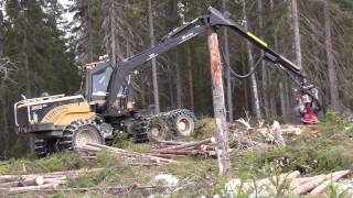 EcoLog 560D with LogMax 5000D