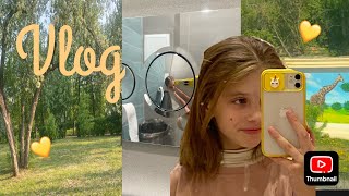 VLOG// последние звонки