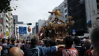 本郷櫻木神社例大祭　本社神輿　上真砂町会　鳥居前　2023/9/24　