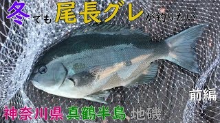 真鶴半島磯釣り 冬でも尾長メジナを釣りたい 前編 MANCING MANIA JAPAN