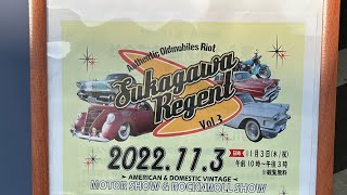 【超ヤバい】リーゼント祭りってどんな祭りなの！？犬を連れて潜入してみます🐶#ゴールデンドゥードル #大型犬仔犬 #ミックス犬 #多頭飼い #さんぽ#須賀川市