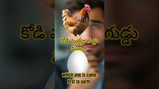 మీకు తెలుసా||కోడి ముందా గుడ్డు ముందా? || #shorts #ytshorts #viral #trending #famous #shortsfeed