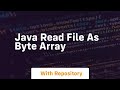 java read file as byte array