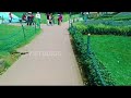 ooty botanical garden latest tour amazing places ooty studios