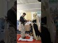 bahagianya pengantin baru