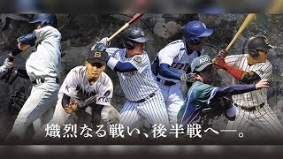 【関西六大学野球秋季リーグ】神院大vs大商大／大院大vs大経大／龍谷大vs京産大