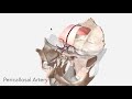 anterior cerebral artery anatomy branches u0026 relations