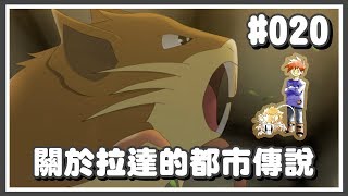 寶可夢｜官方間接證實的拉達都市傳說！？【Poke夢+】