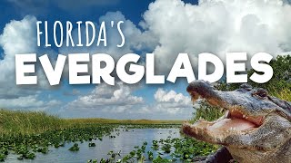 In search of ALLIGATORS! Airboat ride in the Everglades (Things to do in Florida)