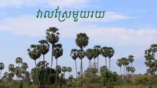 វាលស្រែមួយរយ -- សួស សងវាចា