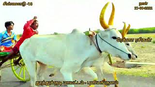 சின்னமாடு புளியங்குளம்