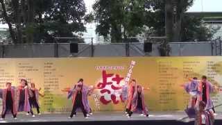 音鳴會さん　 府中よさこい2014