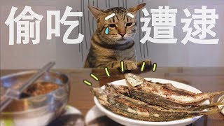 【麻吉】貪吃的麻吉怪！要把家裡吃垮ㄌ～