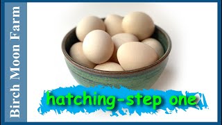 Egg Hatching Step by Step | Setting up your incubator | Birch Moon Far is a simple living homestead