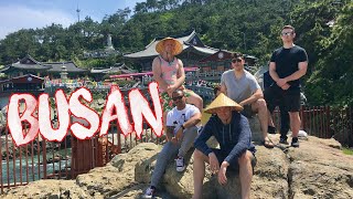 Osan Air Base To Busan: A Weekend With The Busan Bad Boyz