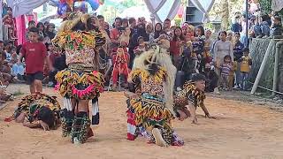 Terbaru ‼️ Gedroex RWB Reog Wahyu Budoyo Pingit Lawang