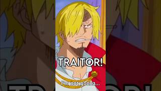 Did Sanji LIE to Luffy?