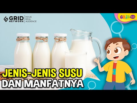 Mengenal Jenis-Jenis Susu Dan Manfaat Dari Kandungannya Bagi Kesehatan ...