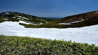 残雪と新緑が美しい志賀高原・4K撮影