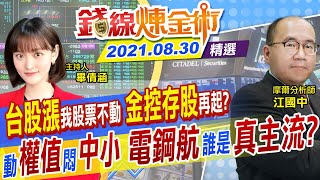 【錢線煉金術】台新金變飆股 散戶All in金融？台積電領權值股起漲 學會「懶人存股法」必勝 外資認錯回補 Q3尾聲投信.外資誰說了算  @中天財經頻道CtiFinance    精華版 20210830