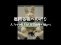 hd星降る夜への祈り a prayer for a starry night