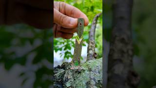 Learning to grafting of fruit trees persimmon #satisfying