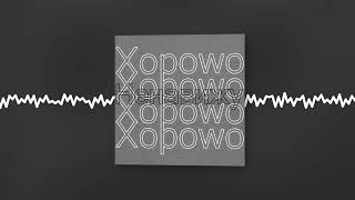 Xopowo - Ненавижу(?) (Official audio)