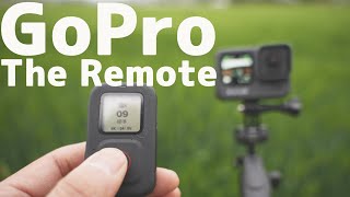 GoPro新型リモコンがすごく使いやすい！【The Remote】 Gopro Hero 9, 8, Max