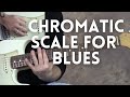 FROM THE VAULT: The Chromatic Scale for Blues Guitarists | GuitarZoom.com