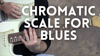 FROM THE VAULT: The Chromatic Scale for Blues Guitarists | GuitarZoom.com