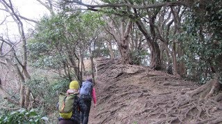 20190213　三浦アルプス（仙元山～二子山～田浦梅の里）